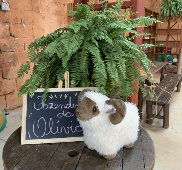 Estação Natureza Festas e Eventos 12