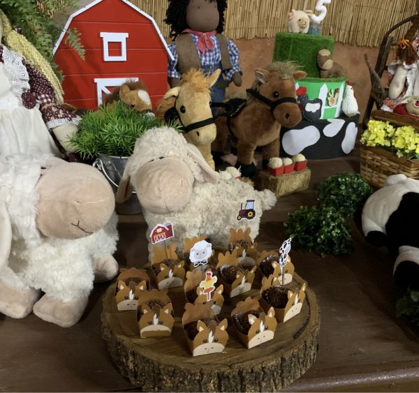 Estação Natureza Festas e Eventos 13