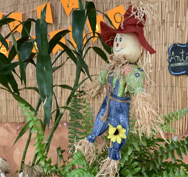 Estação Natureza Festas e Eventos 3
